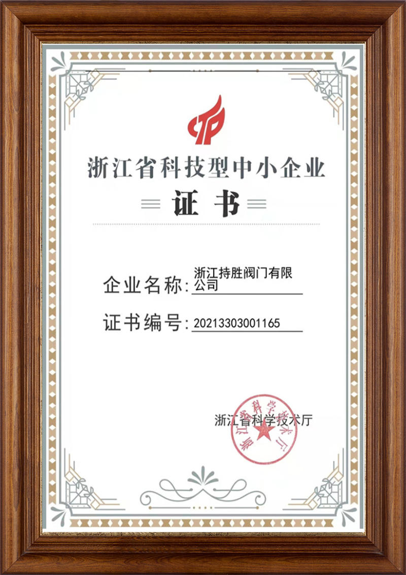 浙江省科技中小企业证书